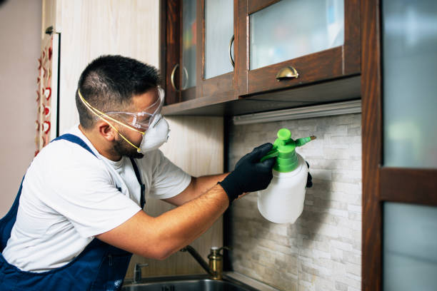 Best Best Pest Control Companies  in Calabash, NC