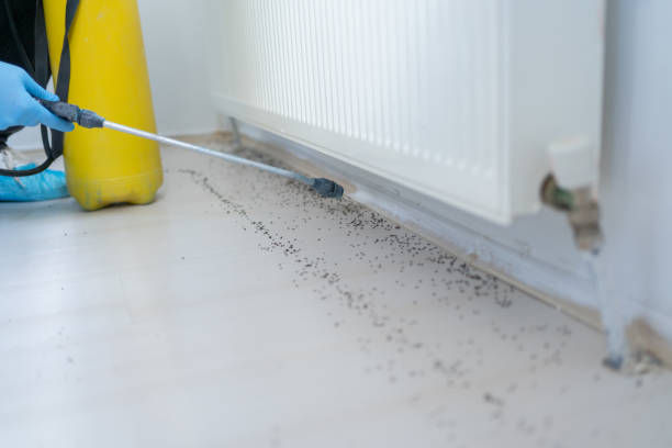 Best Residential Pest Control  in Calabash, NC