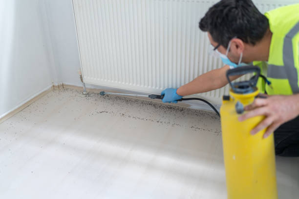 Best Ant Control Services  in Calabash, NC